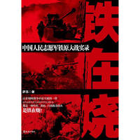 铁在烧(中国人民志愿军铁原大战实录)