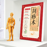 全新刮痧术 刮痧拔罐经络养生书养生书籍