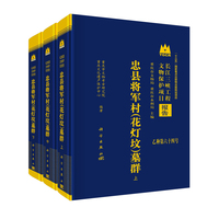 忠县将军村（花灯坟）墓群9787030833587重庆市文物考古研究院（重庆文化遗产保护中心）科学出版社
