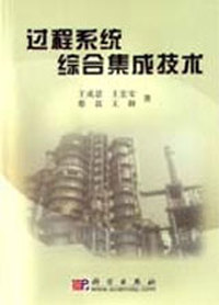 过程系统综合集成技术