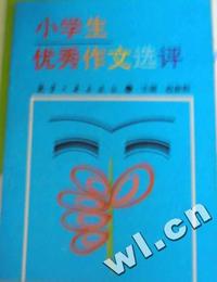 小学生优秀作文选评