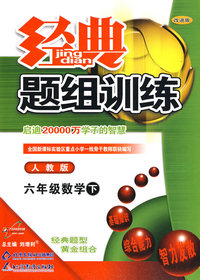 经典题组训练：六年级数学 下（人教版）