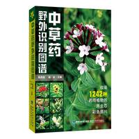中草药野外识别图谱