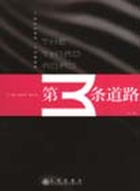 第三条道路：21世纪中国第一个诗歌流派