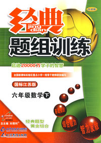 经典题组训练：六年级数学 下（国标江苏版）