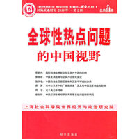 全球性热点问题的中国视野