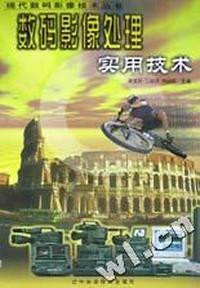 数码影像处理实用技术/现代数码影像技术丛书
