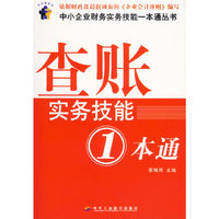 查账实务技能一本通
