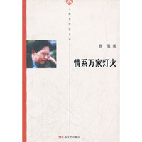 情系万家灯火