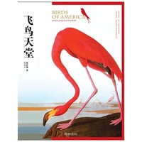 飞鸟天堂