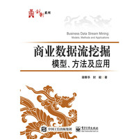 商业数据流挖掘模型.方法及应用