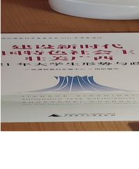 建设新时代中国特色社会主义壮美广西