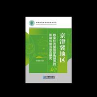 京津冀地区数字经济赋能绿色经济的影响机制与效应研究