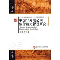 中国非寿险公司偿付能力管理研究