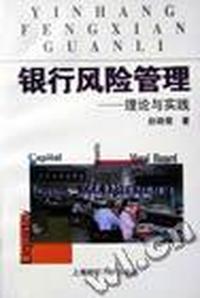 银行风险管理:理论与实践