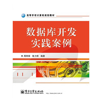 数据库开发实践案例