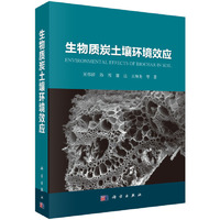 生物质炭土壤环境效应
