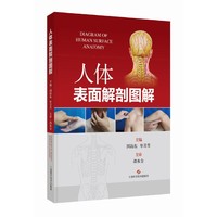 人体表面解剖图解