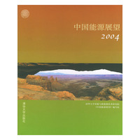 中国能源展望(2004)