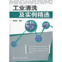 工业清洗及实例精选