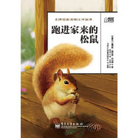 跑进家来的松鼠