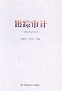 跟踪审计