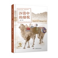 王族作品系列：沙漠中的骆驼