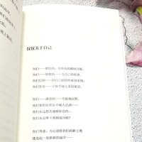 月亮与迷雾：吉皮乌斯诗选