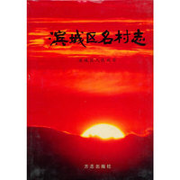 滨城区名村志