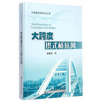 大跨度拱式桥抗风
