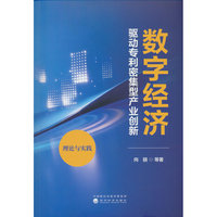 数字经济驱动专利密集型产业创新：理论与实践