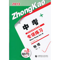 2013中考专项练习. 物理