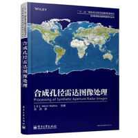 合成孔径雷达图像处理