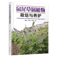 鼠尾草属植物栽培与养护