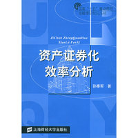资产证券化效率分析——金融理论前沿丛书