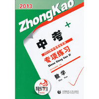 2013中考专项练习. 数学