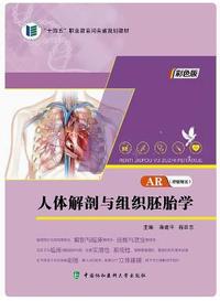 人体解剖与组织胚胎学