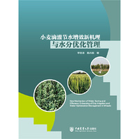 小麦滴灌节水增效新机理与水分优化管理