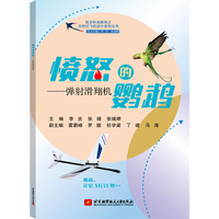 愤怒的鹦鹉-弹射滑翔机