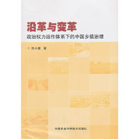 沿革与变革:政治权力运作体系下的中国乡镇治理