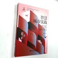 智慧城市实践（“智慧城市2035”出版工程）