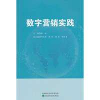 数字营销实践