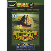 亚洲腹地的金字塔（3DVD）
