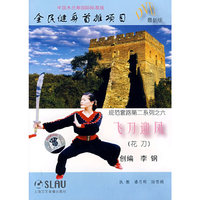 DVD飞刀迎凤中国木兰拳国际标准版(最新版)