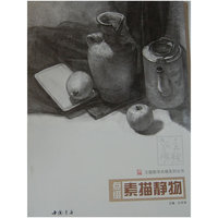 主题教学点缀系列丛书点缀素描静物