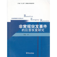 非常规突发事件的应急恢复研究（应急管理理论与实务丛书）
