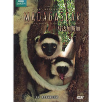 马达加斯加(DVD)