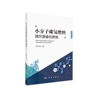 小分子碳氢燃料微尺度催化燃烧