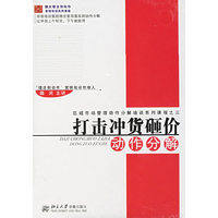 打击冲货砸价动作分解(2VCD)