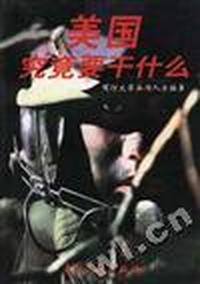 美国究竟要干什么？